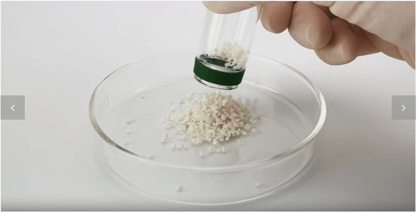 White granules being poured from a vial into a glass dish.