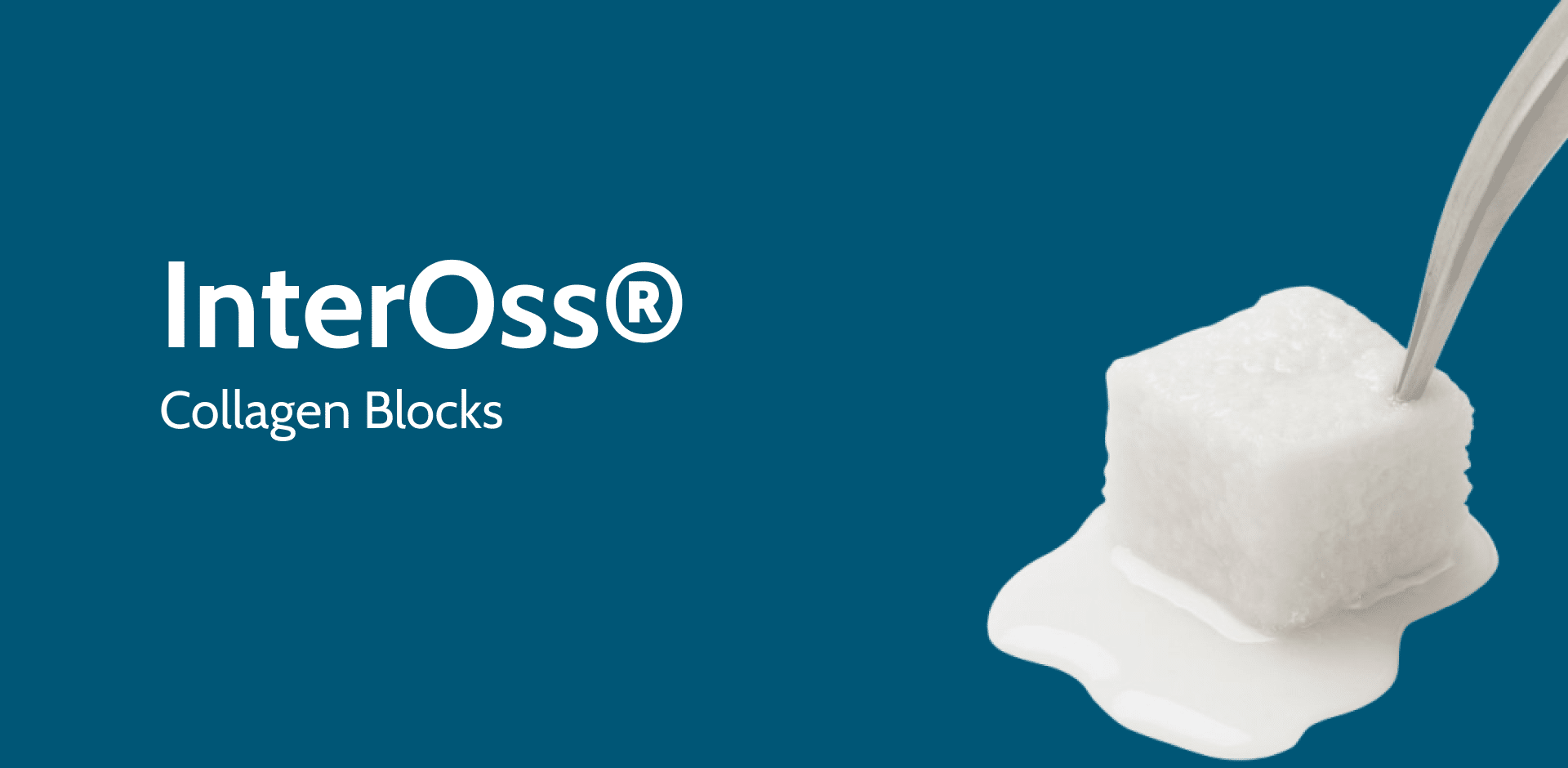 InterOss Collagen Block products.